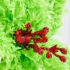 Decorator's Warehouse 11" Green Furry Feather Fabric Poinsettia > Kristin'S Picks|Storyville