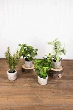 Decorator's Warehouse 9” Herb in a Pot - Rosemary > Christmas Decor|Spring Florals