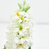 Decorator's Warehouse 17" Hyacinth Spray > Christmas Decor|Patriotic Decor