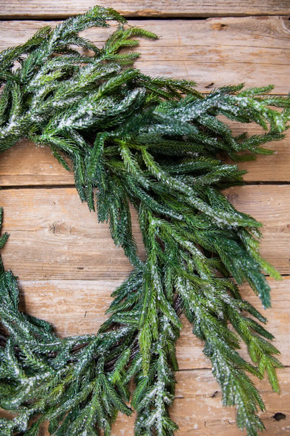 Decorator's Warehouse 24” Iced Garden Norfolk Pine Wreath > Natural Greenery|Christmas Decor