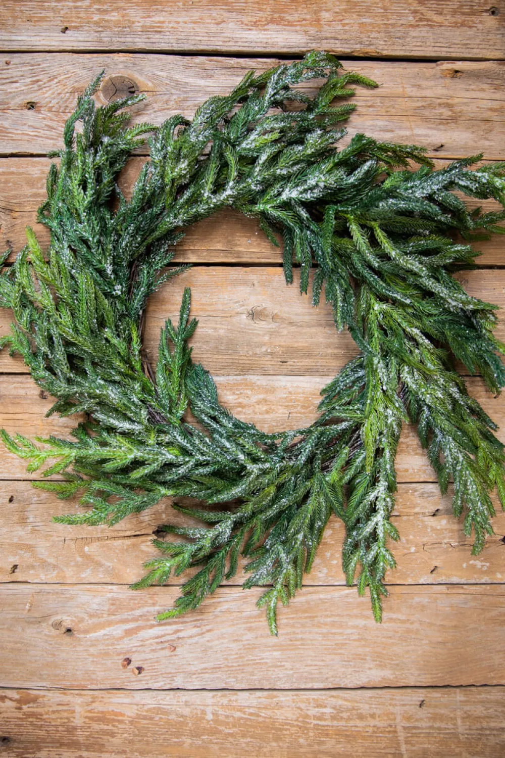 Decorator's Warehouse 24” Iced Garden Norfolk Pine Wreath > Natural Greenery|Christmas Decor