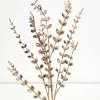 Decorator's Warehouse 33" Jeweled Champagne Leaf Spray > Christmas Sprays|Christmas Decor