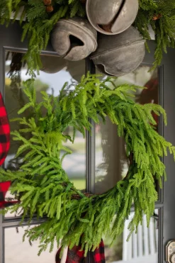 Decorator's Warehouse 24” Just Cut Norfolk Pine Wreath > Cardinal|60" Deluxe Norfolk Pine Garland