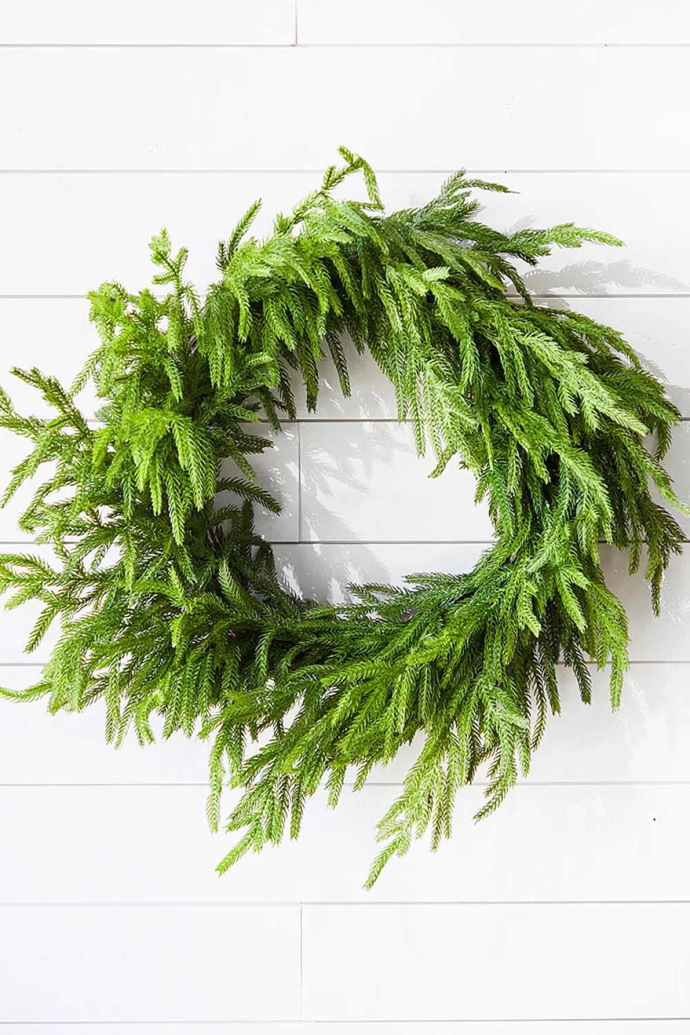Decorator's Warehouse 24” Just Cut Norfolk Pine Wreath > Cardinal|60" Deluxe Norfolk Pine Garland