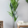Decorator's Warehouse 5' Kentia Palm Potted > Christmas Decor|Spring Decor