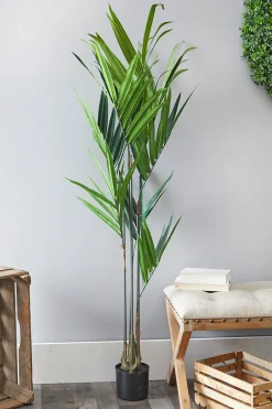 Decorator's Warehouse 5' Kentia Palm Potted > Christmas Decor|Spring Decor