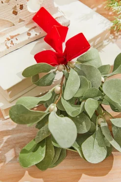 Decorator's Warehouse 12" Lambs Ear Mistletoe Kissing Ball > Christmas Decor|Believe