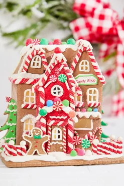 Decorator's Warehouse 9" Lighted Clay Dough Holiday Gingerbread House > Kristin'S Picks|Christmas Accents