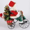 Decorator's Warehouse Lighted Santa Biking Through Christmas > Karen Didion