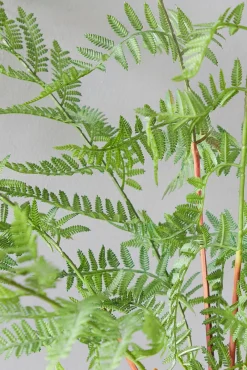 Decorator's Warehouse 33" Luxe Potted Fern > Spring Greenery|Christmas Decor