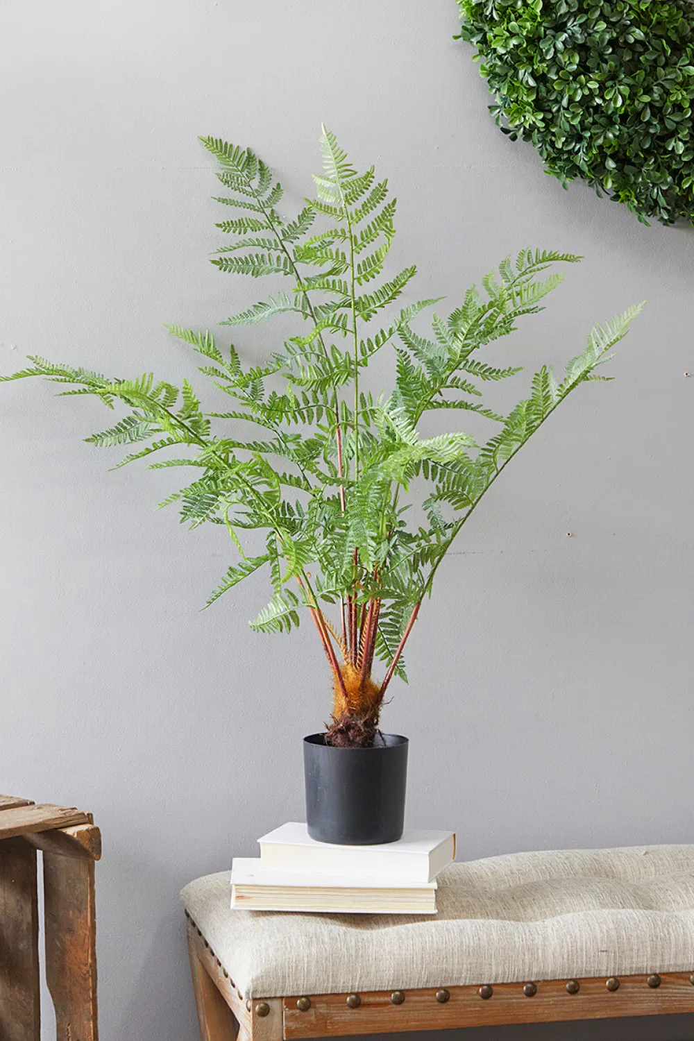 Decorator's Warehouse 33" Luxe Potted Fern > Spring Greenery|Christmas Decor