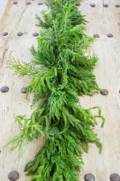 Decorator's Warehouse 72” Luxury Cyprus Norfolk Swag > Real Touch Garlands|Cardinal