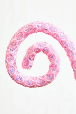 Decorator's Warehouse 28" Mesh Spiral Curly Spray > Christmas Sprays|Christmas Decor
