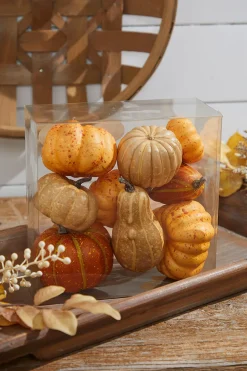 Decorator's Warehouse Mixed Pumpkin Asssortment - Set of 9 > Fall Decor|Fall Decor