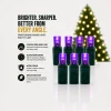 Decorator's Warehouse 5mm Purple - 70L 4" Spacing > 5Mm Led Strands|Light Strands