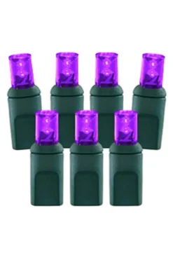Decorator's Warehouse 5mm Purple - 70L 4" Spacing > 5Mm Led Strands|Light Strands