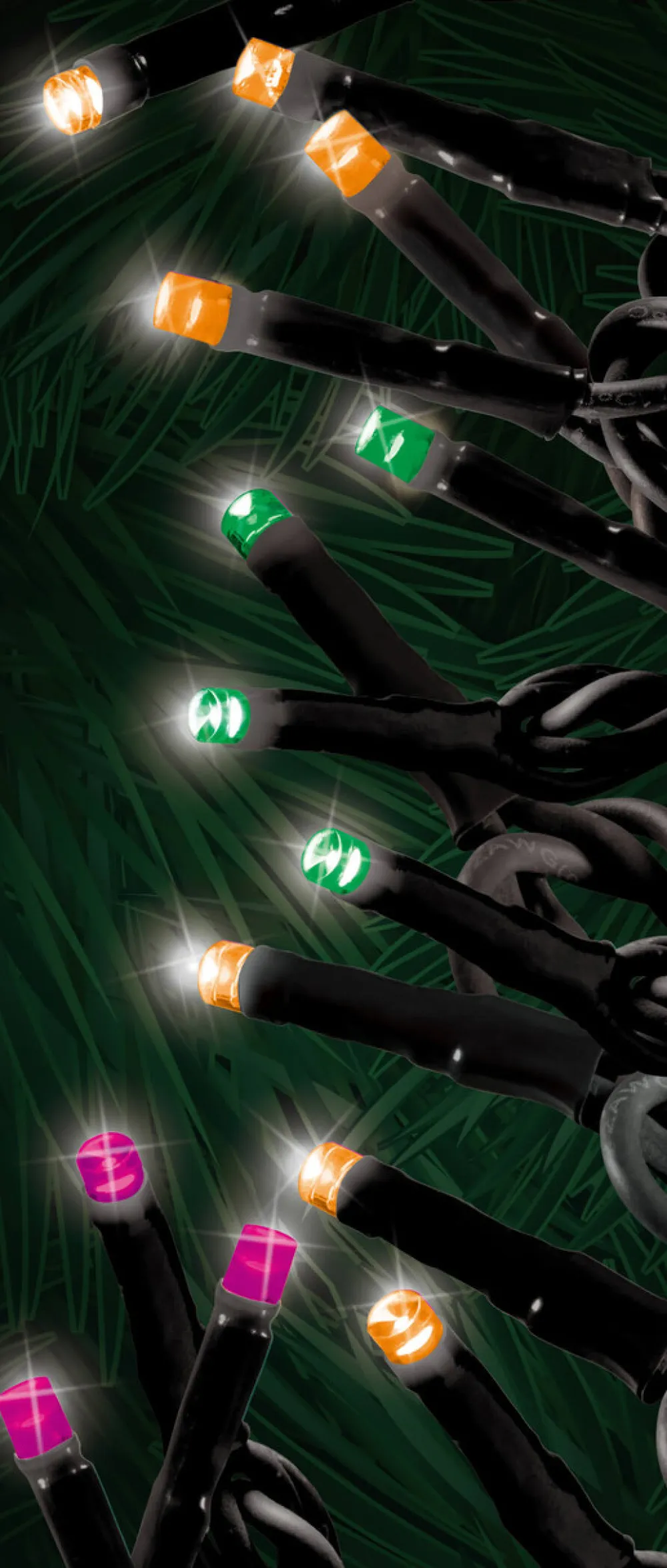 Decorator's Warehouse 3mm Twinkle Halloween 100 LED Micro Light Set > Outdoor Lighting|Light Strands