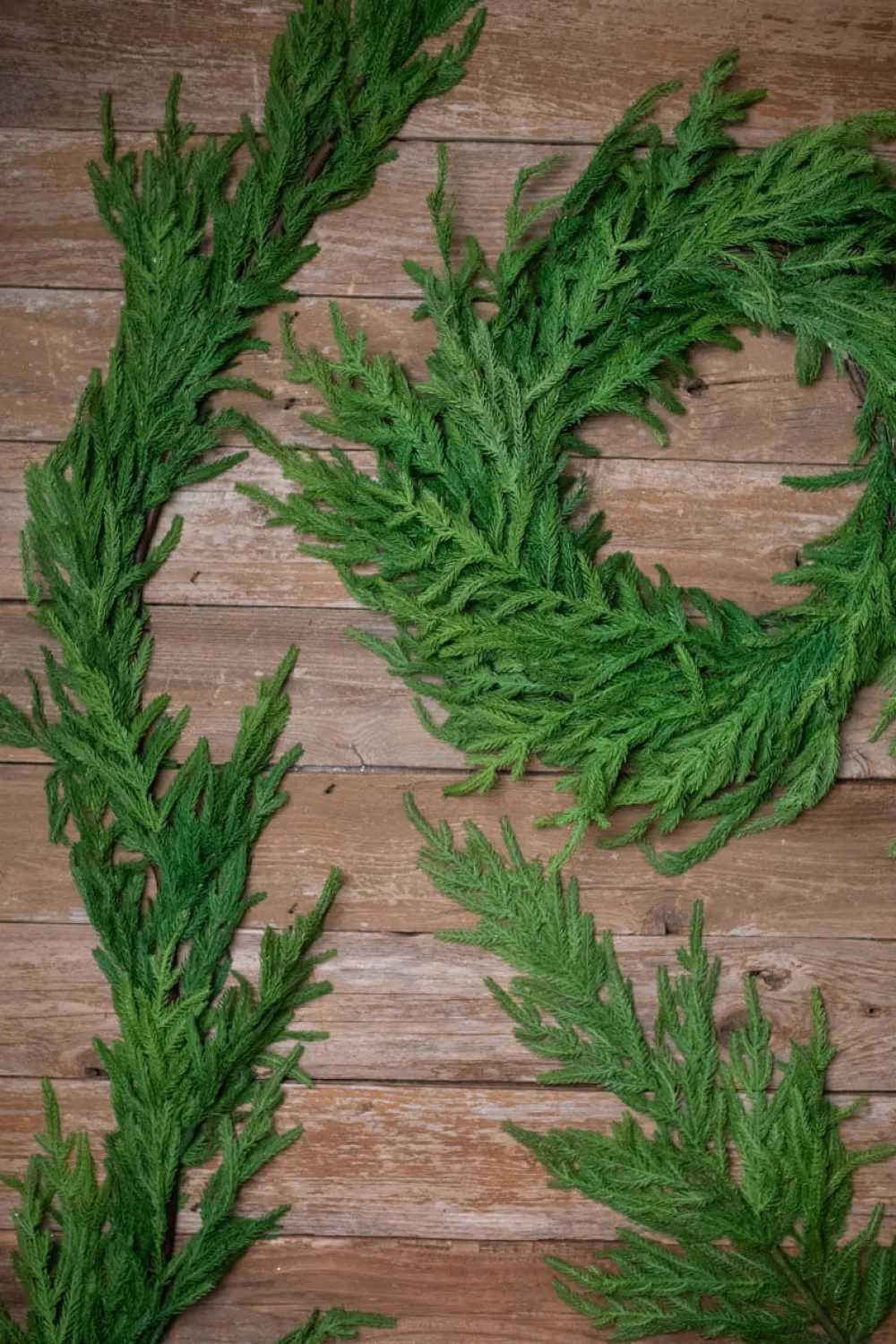 Decorator's Warehouse 38” Natural Touch Norfolk Pine Christmas Spray > Natural Greenery|Christmas Sprays