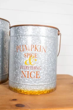 Decorator's Warehouse 20” Nesting Galvanized Metal Pumpkin Spice Buckets - Set of 2 > Christmas Sale