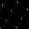 Decorator's Warehouse Net Green - 5mm 100L 4'x6' > Outdoor Lighting
