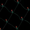 Decorator's Warehouse Net Red- 5mm 100L 4'x6' > Outdoor Lighting