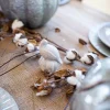 Decorator's Warehouse Pheasant Salt & Pepper Shakers - Set of 2 > Christmas Decor