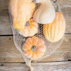 Decorator's Warehouse 6 Piece Pumpkins & Gourds with Mesh Bag > Fall Decor|Fall Decor