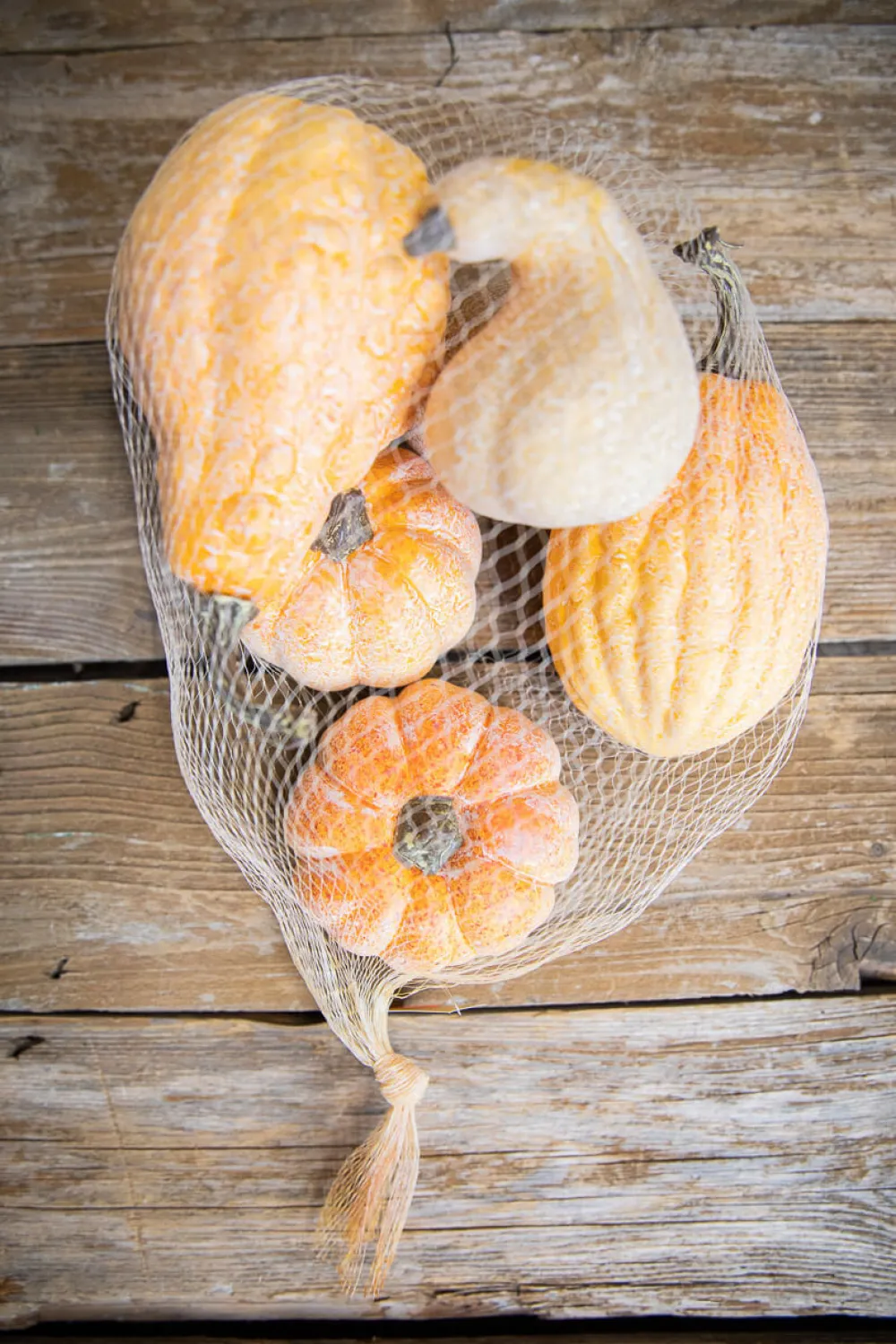 Decorator's Warehouse 6 Piece Pumpkins & Gourds with Mesh Bag > Fall Decor|Fall Decor