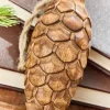 Decorator's Warehouse 5.75" Pinecone Wood Ornament > Christmas Decor|Christmas Ornaments