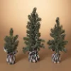 Decorator's Warehouse Pine Tree With Plaid Fabric - Large > Best Sellers|Tabletop & Accent Trees