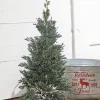 Decorator's Warehouse 24" Plastic Cedar Tree in Black & White Buffalo Fabric Bucket > Tabletop & Accent Trees|Christmas Accents