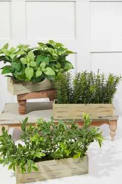 Decorator's Warehouse 11" Plastic Herbs In Wooden Box > Spring Greenery|Christmas Decor