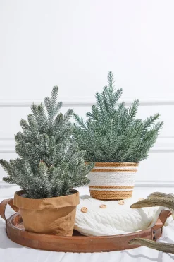 Decorator's Warehouse 18” Plastic Tree in Basket > Winter Woodland|Christmas Decor