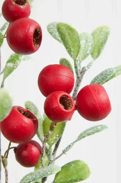 Decorator's Warehouse 20” Pod Leaf Frosted Christmas Spray > Christmas Sprays|Christmas Decor