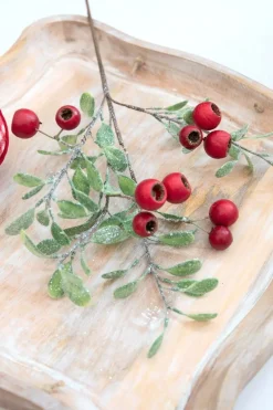 Decorator's Warehouse 20” Pod Leaf Frosted Christmas Spray > Christmas Sprays|Christmas Decor
