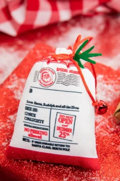 Decorator's Warehouse 5” Polyester Special Delivery Sack Ornament > Christmas Decor|Christmas Ornaments