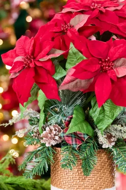 Decorator's Warehouse 24" Potted Poinsettia > Christmas Sale|Christmas Decor