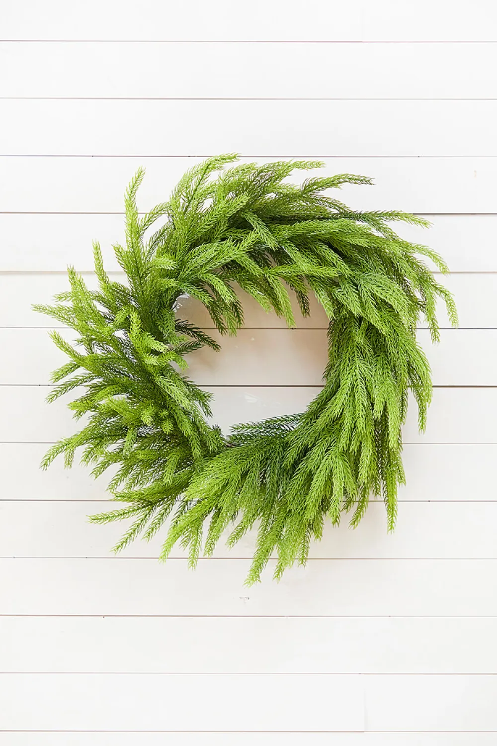 Decorator's Warehouse 28" Real Touch Forest Norfolk Pine Wreath > Natural Greenery|Christmas Decor