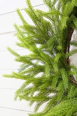 Decorator's Warehouse 28" Real Touch Forest Norfolk Pine Wreath > Natural Greenery|Christmas Decor
