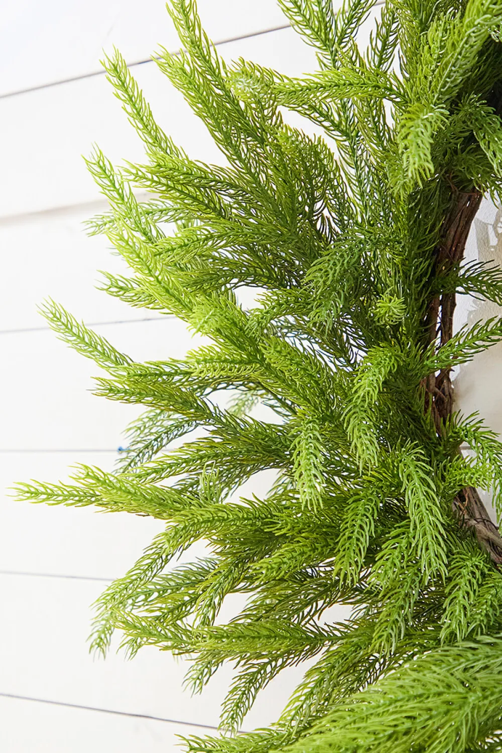 Decorator's Warehouse 28" Real Touch Forest Norfolk Pine Wreath > Natural Greenery|Christmas Decor