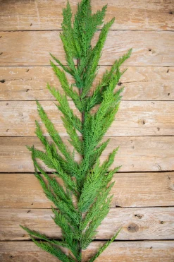 Decorator's Warehouse 48” Real Touch Lebanon Cedar Full Garland > Real Touch Garlands|Natural Greenery