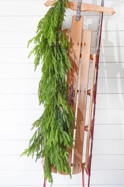 Decorator's Warehouse 47" Real Touch Norfolk Pine Dripping Garland > Believe|Natural Greenery