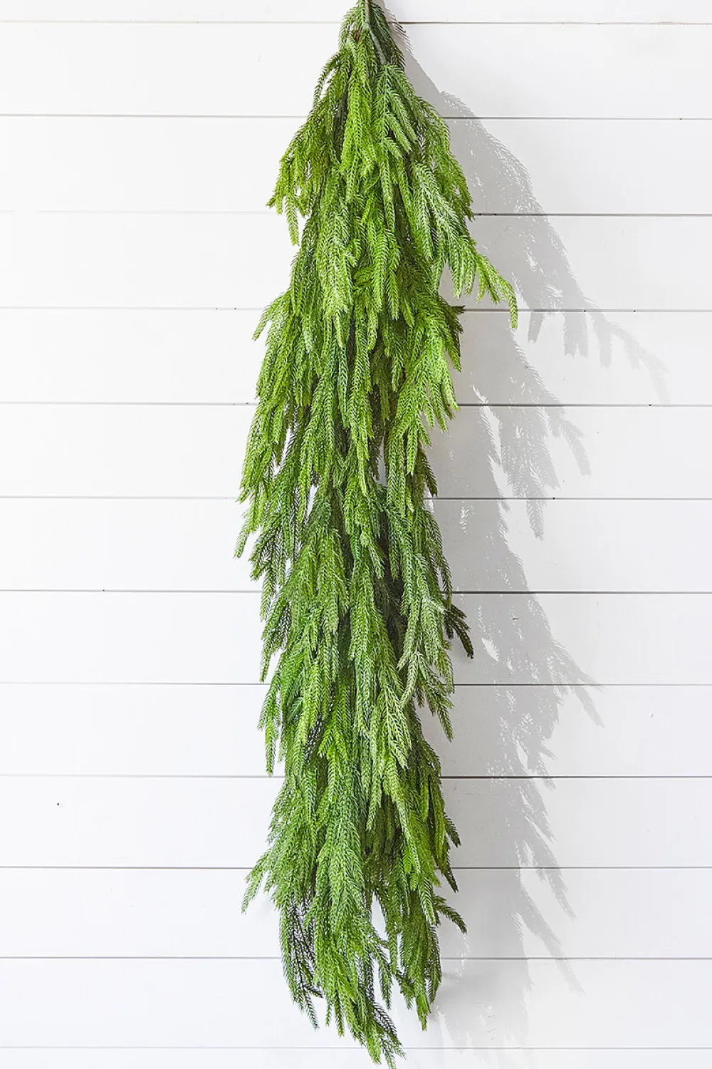 Decorator's Warehouse 47" Real Touch Norfolk Pine Dripping Garland > Believe|Natural Greenery