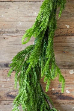 Decorator's Warehouse 192” Real Touch Norfolk Pine Garland > Nutcracker|Believe