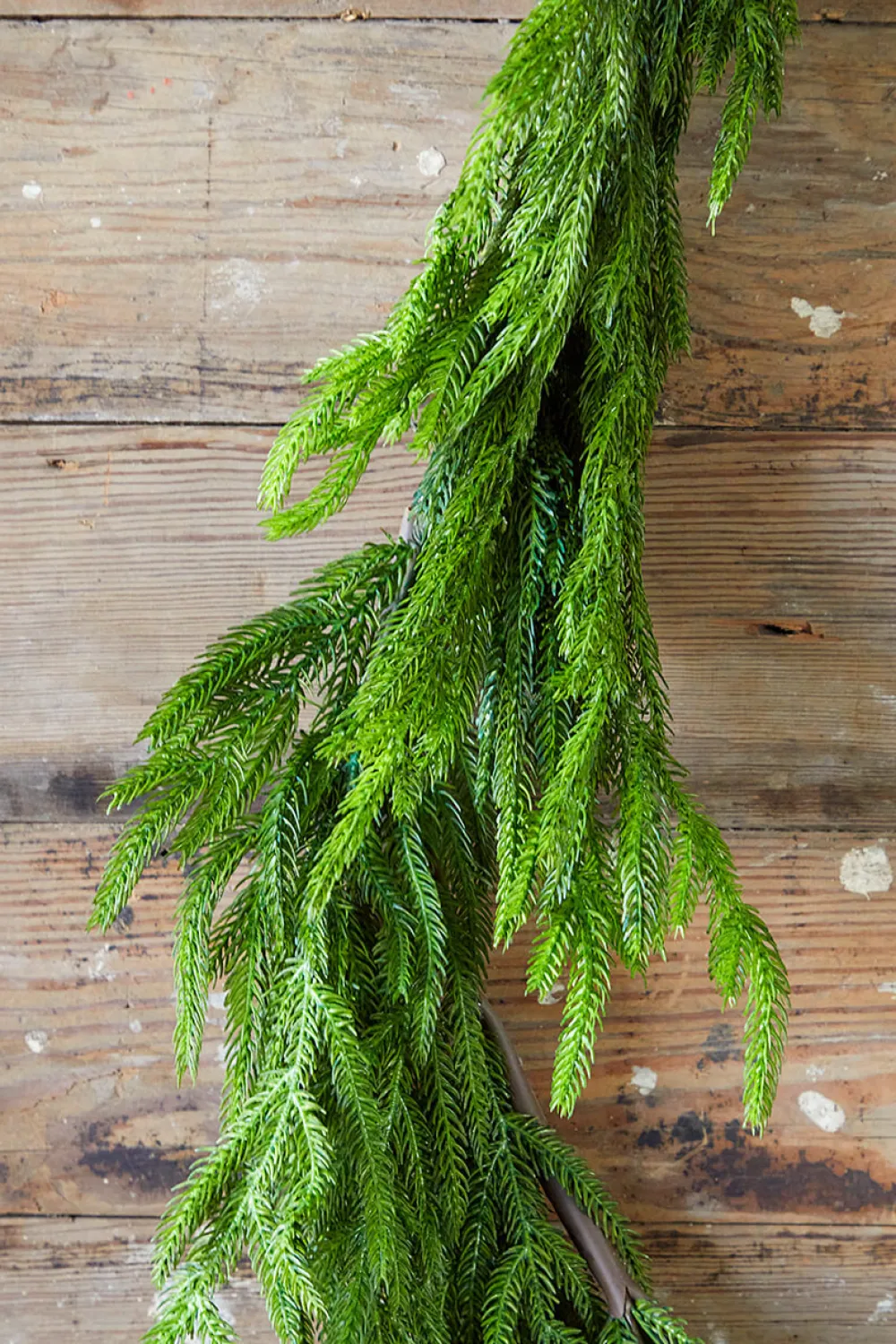 Decorator's Warehouse 192” Real Touch Norfolk Pine Garland > Nutcracker|Believe