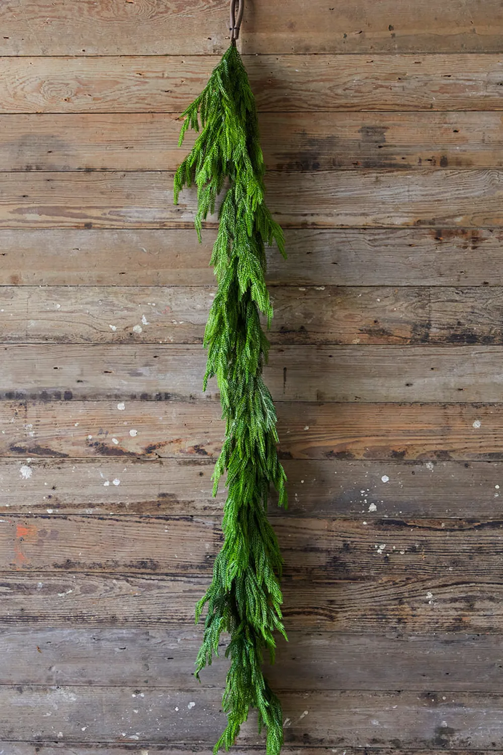 Decorator's Warehouse 72” Real Touch Norfolk Pine Garland > Real Touch Garlands|Cardinal