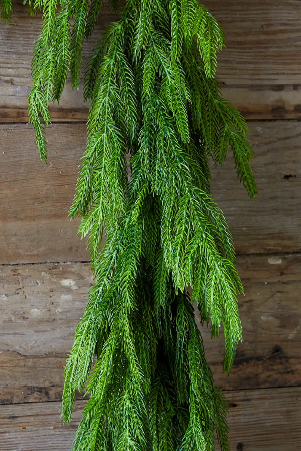 Decorator's Warehouse 72” Real Touch Norfolk Pine Garland > Real Touch Garlands|Cardinal