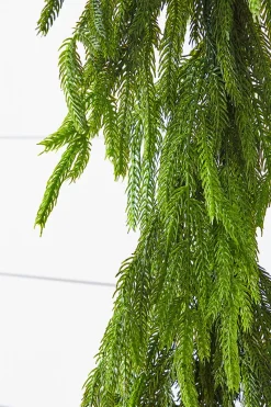 Decorator's Warehouse 72” Real Touch Norfolk Pine Garland > Real Touch Garlands|Cardinal