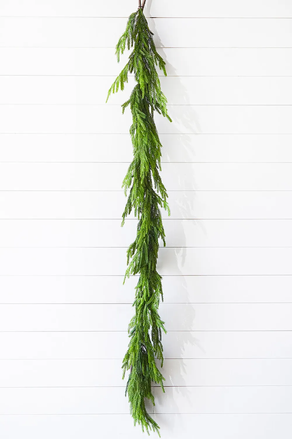 Decorator's Warehouse 72” Real Touch Norfolk Pine Garland > Real Touch Garlands|Cardinal