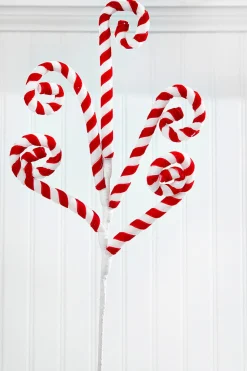 Decorator's Warehouse 24